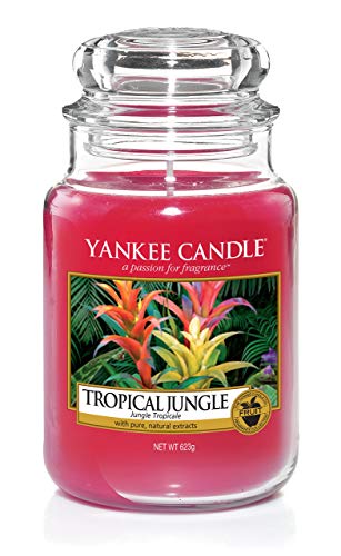 Yankee Candle candela profumata in giara grande, Giungla tropicale, durata: fino a 150 ore