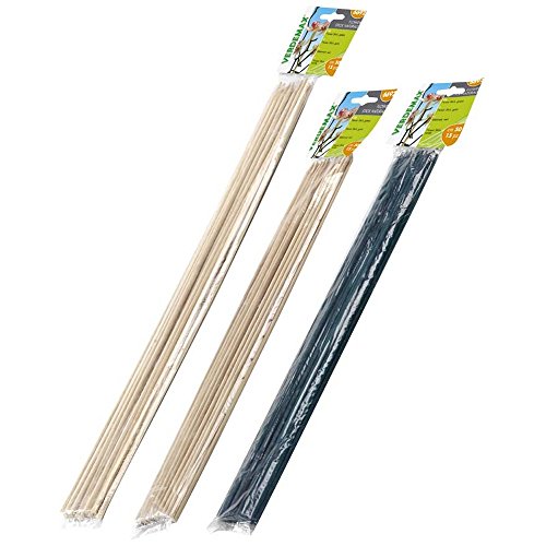 Verdemax 6686 60 cm Altezza bambù supporto gioco mazzo – Naturale (10 pezzi)