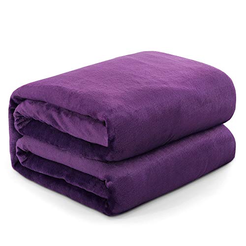 RATEL Coperta Plaid Vellutata in Pile, Viola 230 x 270 cm Coperte Super Morbido per Letto Matrimoniale/Divano/sedie/Letto - Facile da Curare, Leggere, Calde, accoglienti e Resistenti