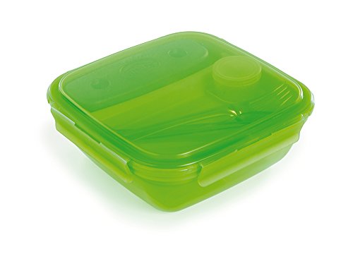Snips 000802 Ice Lunch Box da 1,5 lt, Verde