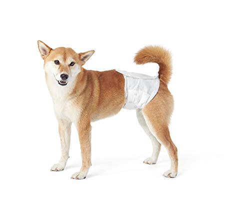 AmazonBasics - Pannolini per cani maschio, taglia M, confezione da 30 pezzi