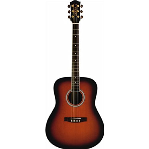 Eko Ranger 6 Brown SBT chitarra acustica folk classica entry level tavola abete