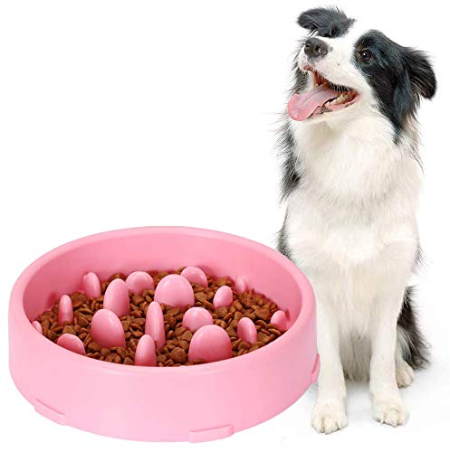 ZONSUSE Ciotola Cane Antiscivolo, Ciotole per Cani Gatto, Slow-Eating Bowl, Anti Soffocamento, Non tossico Prevenire soffocamento Rallentare Alimenti Ciotola per Alimenti per Gatti Ciotola (Rosa)