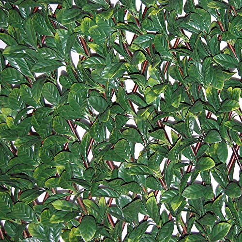 Siepe artificiale con foglie 3D su traliccio estensibile in salice, Tenax Divy 3D X-Tens Osmanthus, 1x2 m