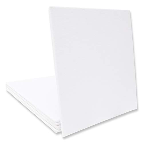 Eono by Amazon - Canvas Panels 25 cm x 25 cm Set di 5 Fogli 100% Cotone Bianco