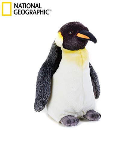 Venturelli- National Geographic-Pinguino Peluche, Multicolore, Medio, 8004332707240
