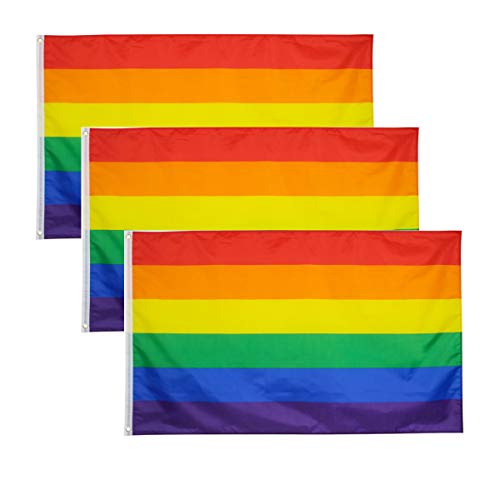 BIGTREE 3 Pezzi 3x5 Piedi (90 X 150 cm) Bandiere Arcobaleno LGBT Gay Pride Festival per Interni all'aperto Celebrazioni per Feste Decorazione per Sport da Giardino