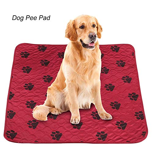 Delaman Dog Pee Pad Lavabile Dog Peeing Holder Tappetino per Urina Impermeabile Riutilizzabile per Cani da Compagnia Gatti Rossi (Size : L)