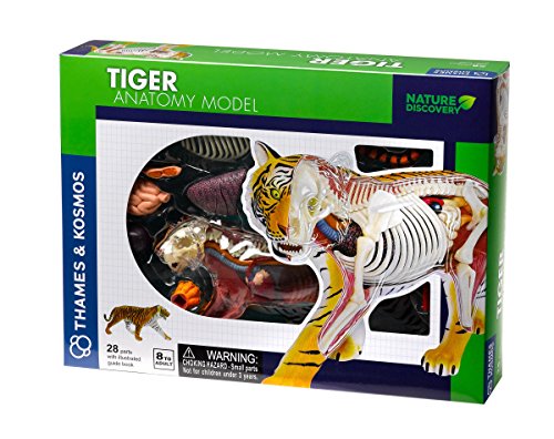 Thames & Kosmos 261050 - Modellino di Tigre, Multicolore