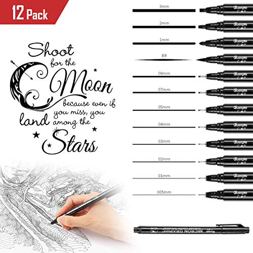 Fineliner penne, 12 Pezzi Nero Pigment Liner Micro Penne, Calligrafia Pennarelli, Fine Line Point per Schizzi Disegno Comic Manga Scrapbooking