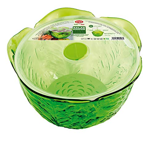 Snips 020420 Salva Insalata-Contenitore salvafreschezza da 4 lt, Verde, UNICA