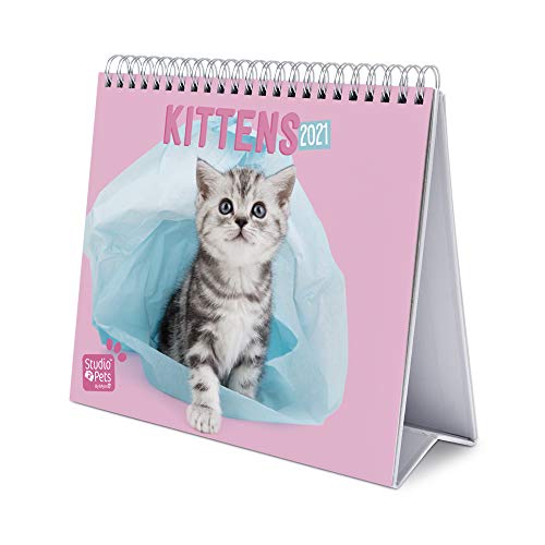 Grupo Erik Calendario da Tavolo 2021 Studio Pets Cats, calendario da scrivania 2021, 20 x 18 cm