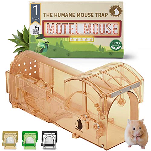 MouseMotel Trappola per Topi Non CRUDELE - Altamente sensibile - Facile da Usare - Riutilizzabile - Sicura per Gli Animali Domestici e per i Bambini - Amica degli Animali (1-Pack)