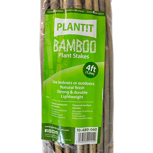 PLANT!T 4' Paletti in bambù Plant IT (120cm) -Pacco da 25 Set, Beige, 122x3x6 cm