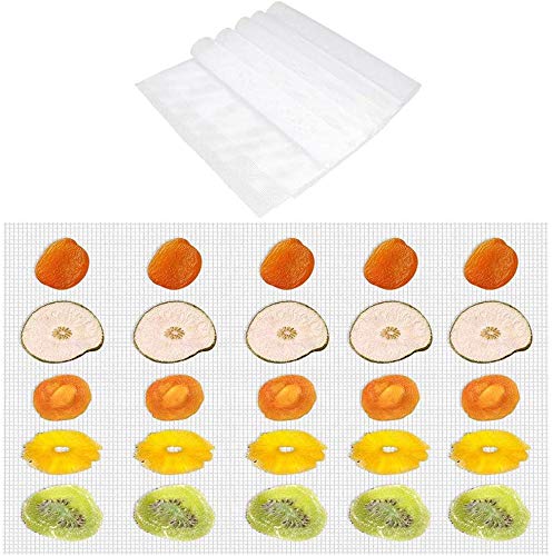 Kwasyo Tappetino da Forno Antiaderente in Silicone, per Essiccatore Alimenti, Set di 10, 38 * 28cm, Riutilizzabile, Lavastoviglie Stuoie sicura, Essiccatore per Frutta e Verdura BPA-Free