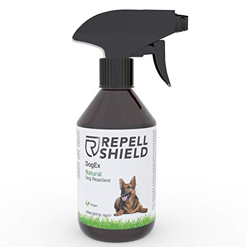 Repell Shield Spray Repellente per Cani Bio - Disabituante Cani Naturale - Repellente per Cani da Esterno e Interno, Efficacia a Lunga Durata - Repellente Cani Pipì - Fragranza Menta Piperita, 250ml