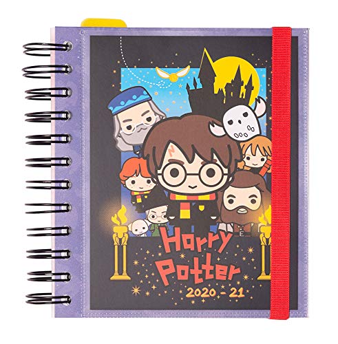 Erik - Diario Scuola Giornaliero 2020/2021, 11 mesi, 14x16 cm - Harry Potter, Special Edition