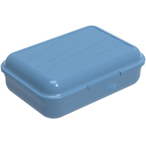 Rotho Fun Vesper stagno 0.9l con divisorio rimovibile, Plastica PP senza BPA, Blu, S/0.9l 17.7 x 12.9 x 6.0 cm