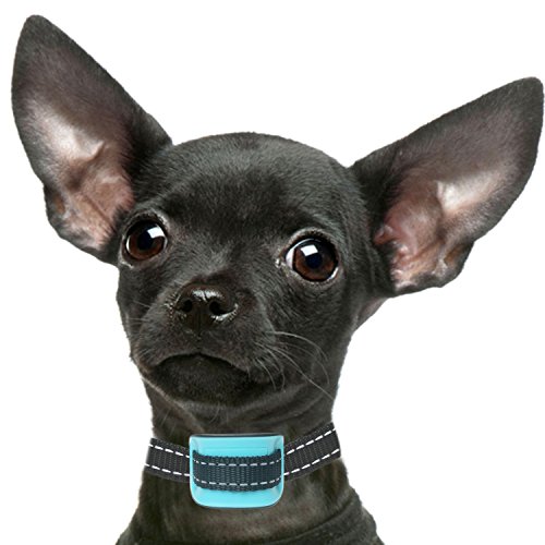 PetSol - Collare anti-abbaio per cani di piccola taglia, colore blu, perfetto per l'addestramento di cani di piccola taglia e cuccioli, senza scossa, batterie di riserva incluse
