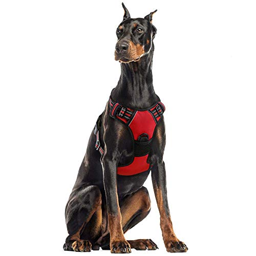 rabbitgoo Pettorina Cane Taglia Grande, No-Pull Pettorina ad h Cane con 2 Ganci in Metallo, Imbracatura Regolabile Riflettente, Pettorina Labrador Pastore Tedesco per Jogging Addestramento(XL, Rosso)