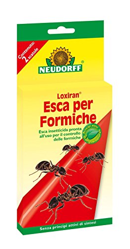 Neudorff Loxiran Formica Esca Scatola (2 PZ)