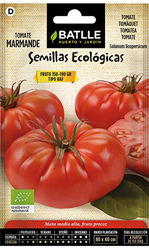 Semi bio - Tomatoes Marmande Raf (85 semi - Organic)