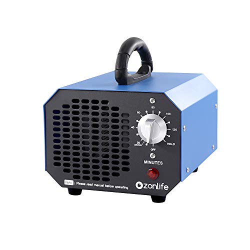 Generatore di ozono 6.000mg/h,ozono purificatore aria ozonizzatore, con Timer per camere, Fumo, Automobili e Animali Domestici