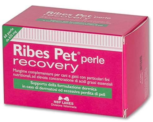 NBF Lanes Integratore Alimentare per Cani e Gatti Ribes-Pet Recovery 60 Perle