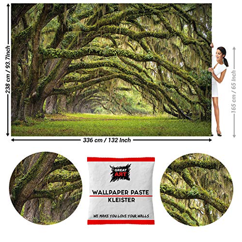 GREAT ART Photo Carta da Parati – Foresta mistica di querce – Decorazione Natura Paesaggio Mistico Quercia bosco incantato delle fiabe – 336 x 238 cm 8 pezzi e colla inclusa