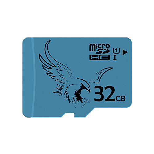 BRAVEEAGLE 2 Pezzi Micro SD Card 32GB microSDHC Card Classe 10 per Telecamera (2 Pezzi x 32GB U1)