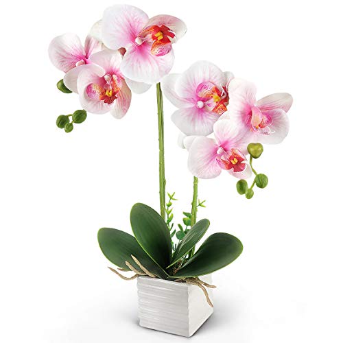 Yobansa Decorativi Real Touch Orchidea Finta Bonsai Fiori Artificiali Fiori in Vaso di Ceramica Phalaenopsis Composizione Floreale per la Decorazione Domestica (White 01)