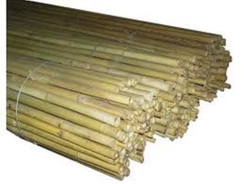 10 canne bamboo bambù pareti divisorie pali pomodori piante rampicanti h. 210 cm diametro 22-24
