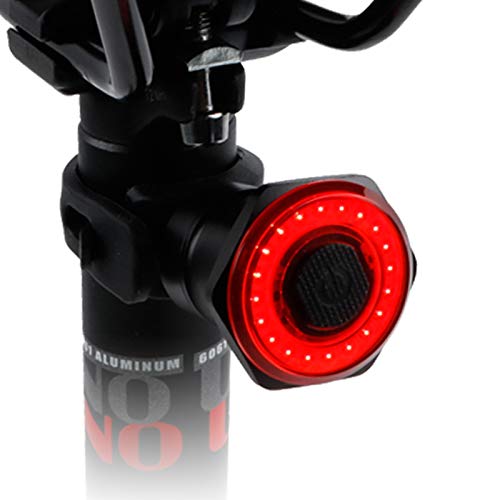 Valuetom Luce Posteriore Bici, Fanale Posteriore Impermeabile IPX6, luci LED Bicicletta con sensore di frenata Intelligente e 7 modalità di Illuminazione USB ricaricabile-100 Lumen