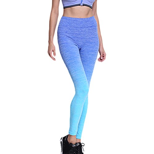 EUFANCE Donne Sportivi Fuseaux Colore Fluorescente Yoga Leggings Morbida Flessibile Running Fitness Pantaloni Senza Cuciture Collant Blu Taglia S