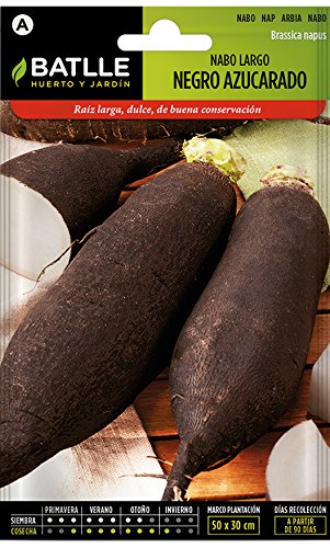 Semi di ortaggi di Batlle - barbabietola da zucchero nera lunga (9300 semi)
