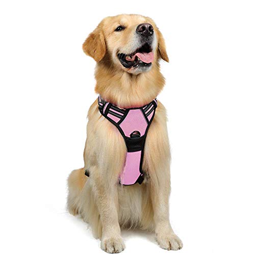 rabbitgoo Pettorina Cane Taglia Grande, No-Pull Pettorina ad h Cane con 2 Ganci in Metallo, Imbracatura Regolabile Riflettente, Pettorina Labrador Pastore Tedesco per Jogging Addestramento(XL, Rosa)