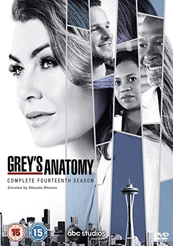 Greys Anatomy Season 14 [Edizione: Regno Unito]