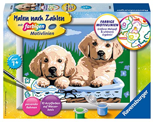 Ravensburger Malen nach Zahlen- Grazioso Cucciolo di Cane, Multicolore, 27839