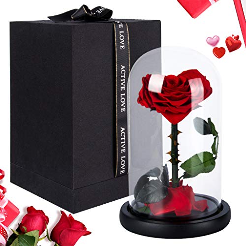 Amycute Kit di Rose La Bella e la Bestia, Rosa Eterna Incantata Fiori, Regalo per Festa della San Valentine Mamma Anniversario di Matrimonio