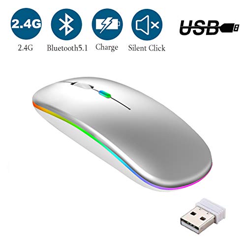 GeekerChip Mouse Bluetooth Ricaricabile,Mouse Wireless Silenzioso,Mouse Senza Fili a Due Modalità (Bluetooth 5.1+2.4G),3 Livelli DPI(800/1200/1600) Regolabili per PC(Argento)