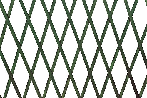 VERDELOOK Traliccio Estensibile in Legno, 100x300 cm, Verde, Decorazioni terrazza