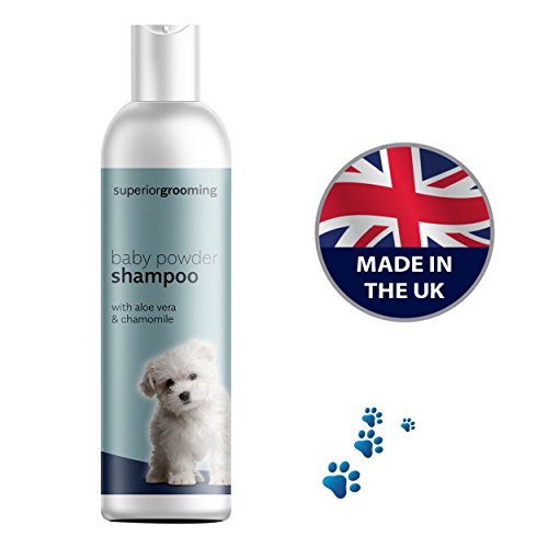 Shampoo per cani, fragranza al talco, per una toelettatura professionale, 250 ml, soluzione concentrata. Adatto a tutte le razze di cani. Un profumo di pulito a lunga durata per il vostro cane.