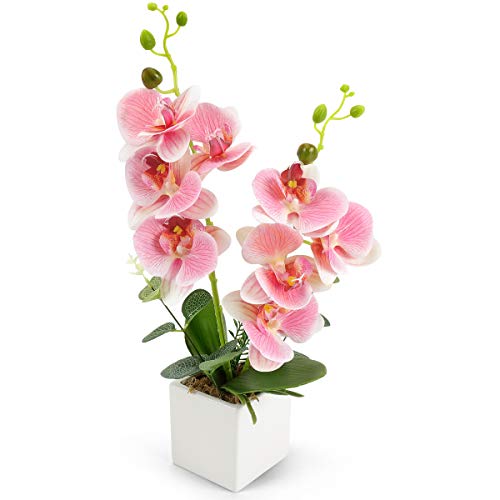 Yobansa Decorativi Real Touch Orchidea Finta Bonsai Fiori Artificiali Fiori in Vaso di Ceramica Phalaenopsis Composizione Floreale per la Decorazione Domestica (Pink 0B)