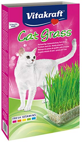 Vitakraft Cat Grass, Katzengras-Set, 1 Stück