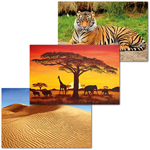 GREAT ART Set di 3 Poster XXL - Africa - Savanna Tramonto Sahara Deserto Giungla Tigre Natura Paesaggio Città Decorazione Interni Carta da Parati Murale cadauno 140 x 100 cm
