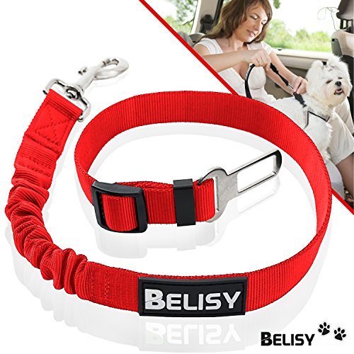 BELISY Cintura di sicurezza per cani - adatta a tutte le razze - rosso