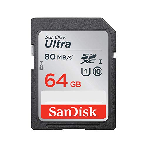 SanDisk Ultra 64 GB SDHC Scheda di Memoria, Velocità Fino a 100 MB/sec, Classe 10, Confezione singola