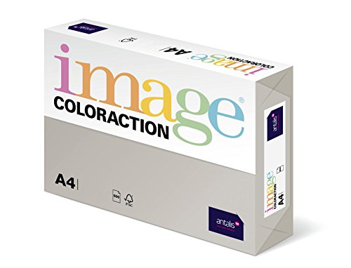 Coloraction 838A 160S 30 Antalis DIN A4, 160 gr/mq- Carta per fotocopie, colore: Grigio