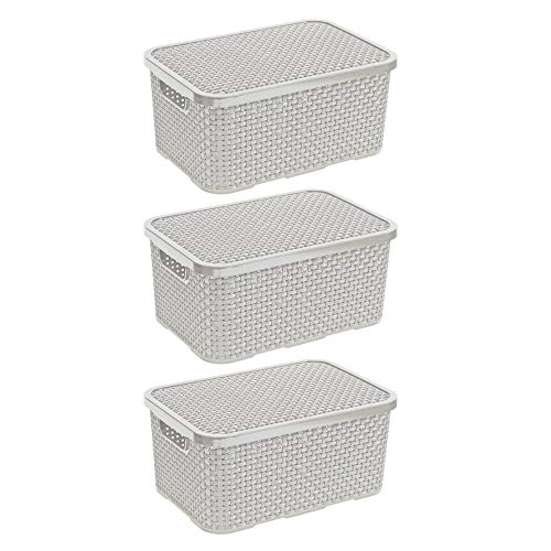 BranQ Home - Set di 3 cestini essenziali in rattan, misura M 10 l, plastica PP, crema, 28,8 x 19,7 x 16,2 cm (L x P x A)