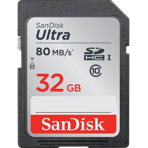 SanDisk Ultra Scheda di Memoria SDHC Traditional, Velocità fino a 80 MB/sec, 32 GB, Classe 10